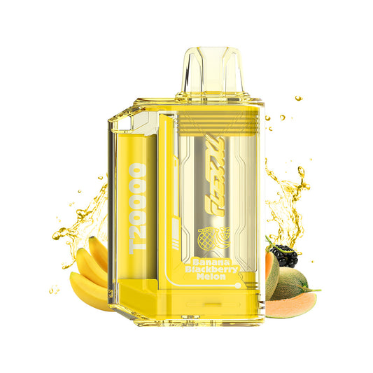 [ALBERTA] Flex XL T20000 - Banana Blackberry Melon (5pc/carton)