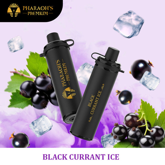 [ALBERTA] Pharaoh's Premium 16K Disposable - Black Currant Ice (10pc/carton)